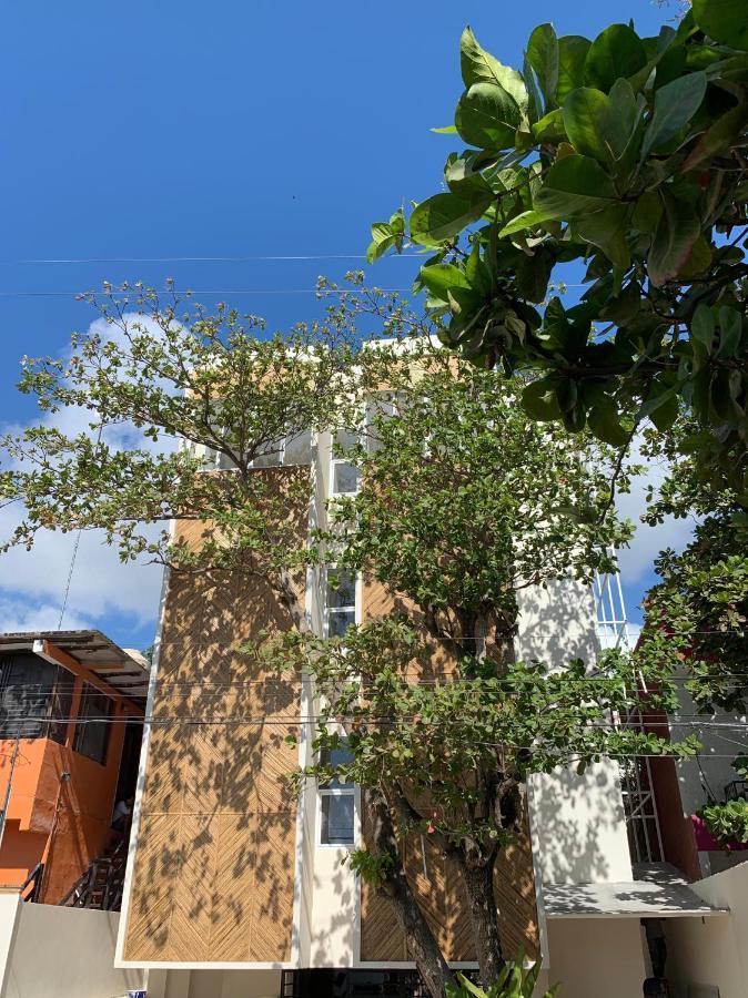 Oostel Smart Hostel - Tulum Pueblo (Adults Only) ภายนอก รูปภาพ